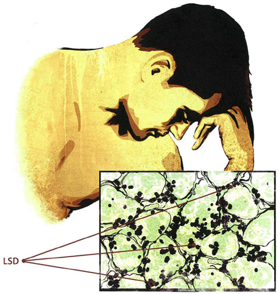 Clear Body, Clear Mind